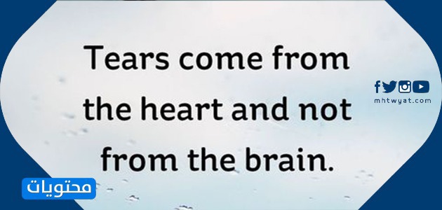 عبارات انجليزية حزينة.jpg5