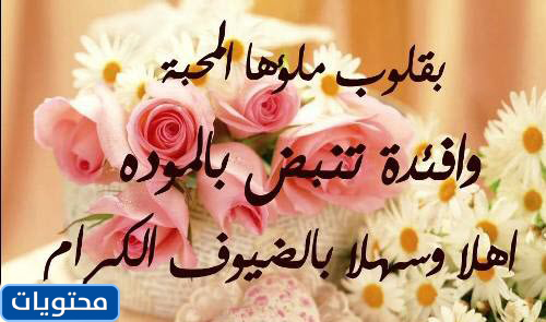 عبارات ترحيب قصيرة