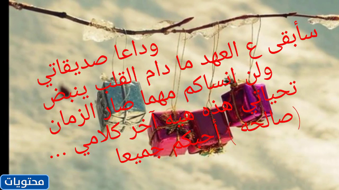 كلمات لطيفة على الطلاب أن يتذكروها