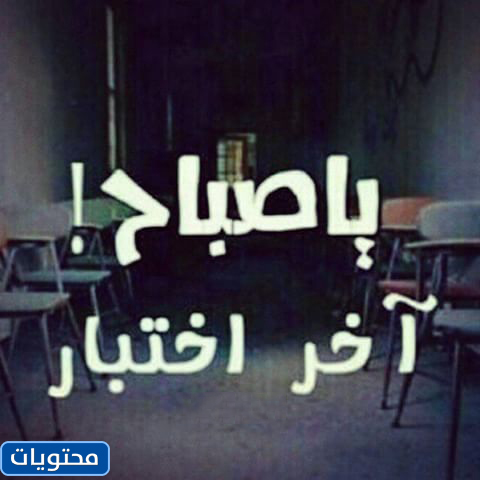 بيانات الاختبار النهائي