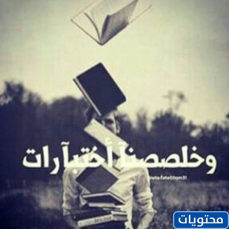 بيانات الاختبار النهائي