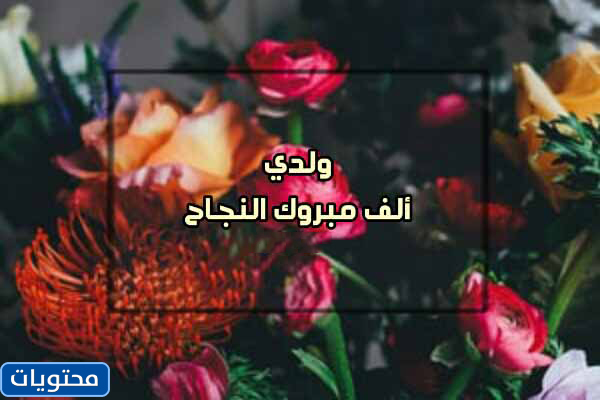 عبارات نجاح للاطفال
