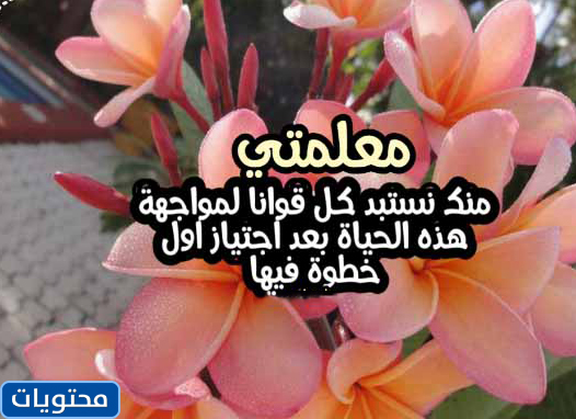 عبارات وداع للمعلمات