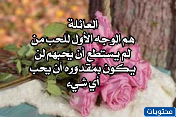 حديث جميل عن الأسرة