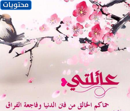 حديث جميل عن الأسرة