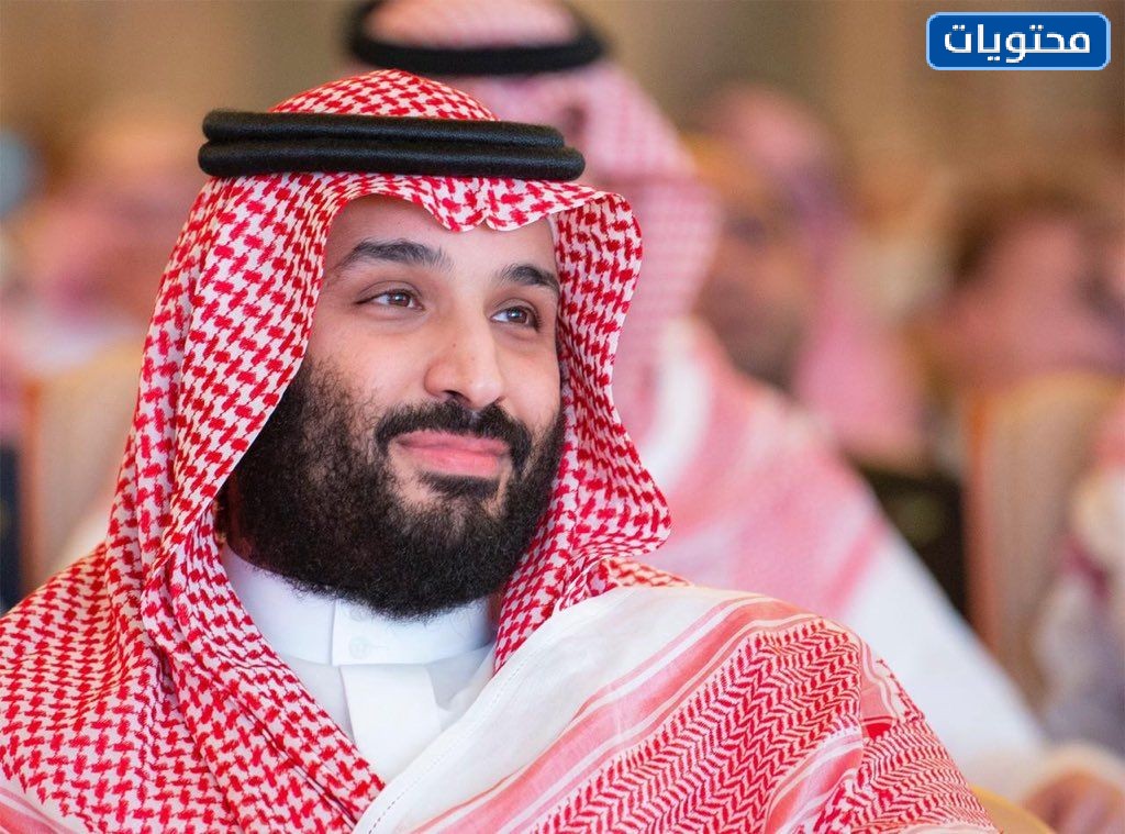 ما هو تخصص الأمير محمد بن سلمان؟