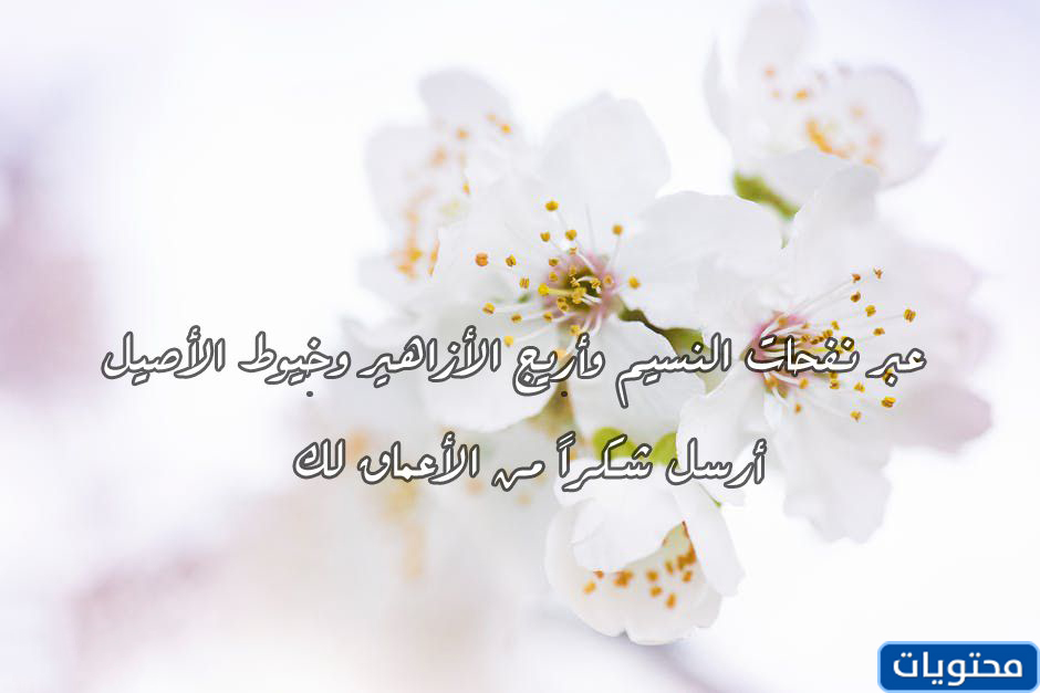 الله الذي لا يشكر الناس لا يشكر كلامه