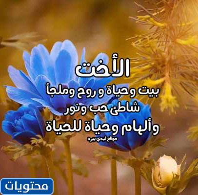 عبارات الأخ وات