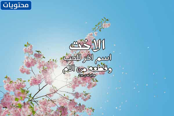 عبارات الأخ وات