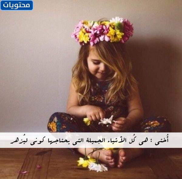 عبارات الأخ وات