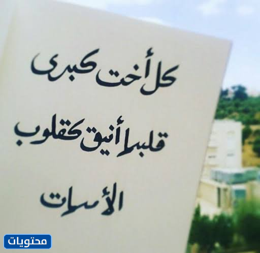 يوم الأخ الأكبر العالمي