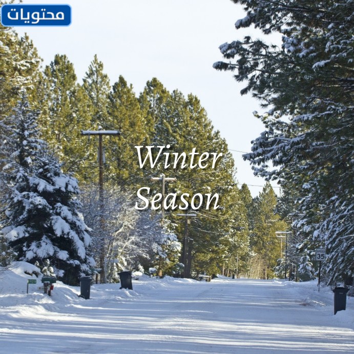 عبارات عن المطر باللغة الإنجليزية