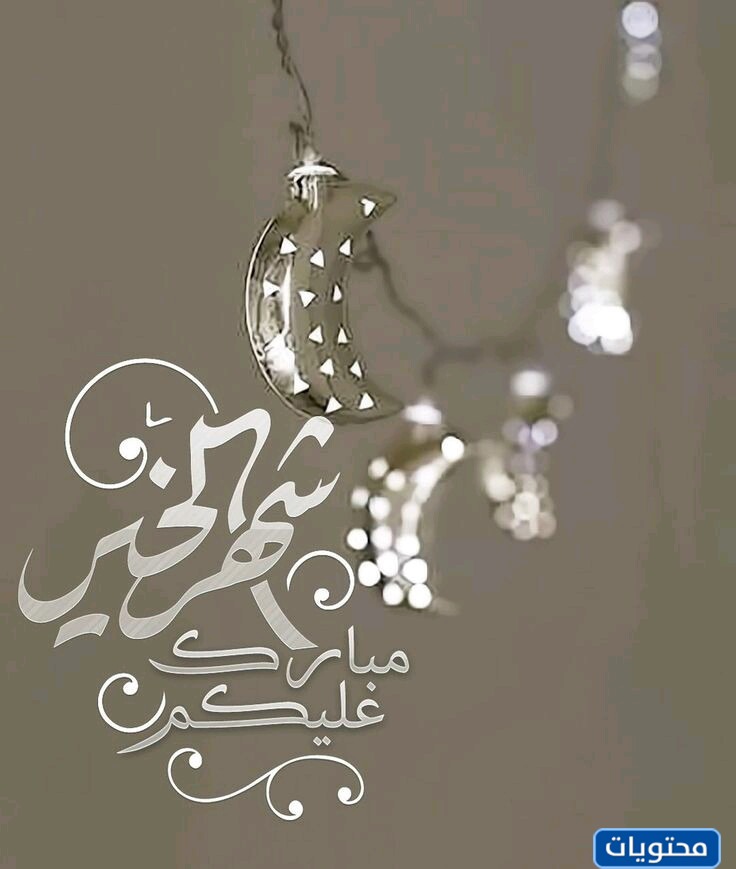 ملاحظات فريق موقع المحتوى على مذكرات رمضان والسعودية