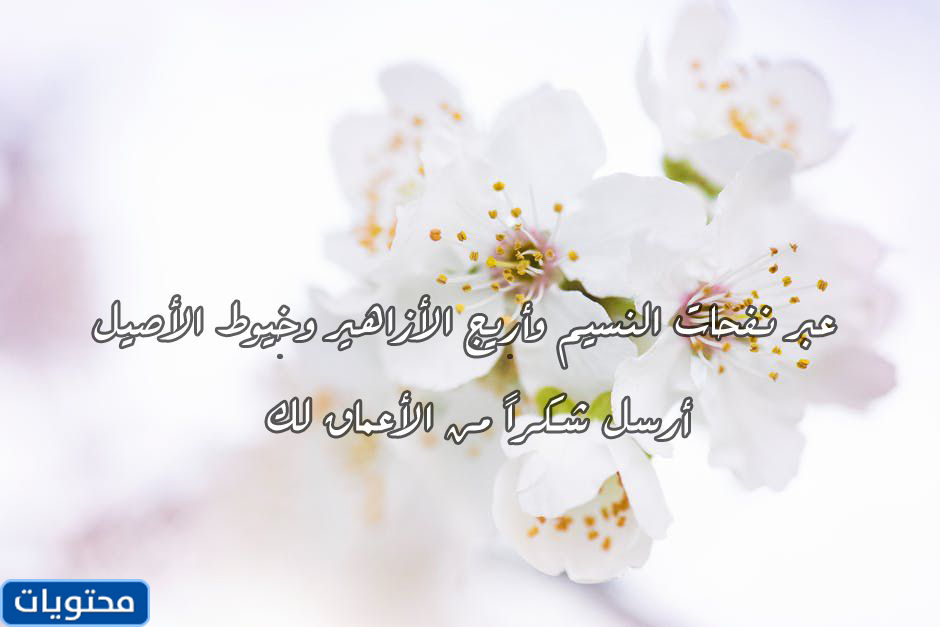 عبارات الشكر والامتنان للأصدقاء