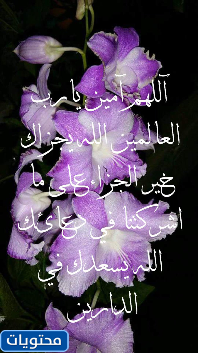 إذا قال لك أحد جزاكم الله خيرًا ، فماذا تجيبون عليه؟