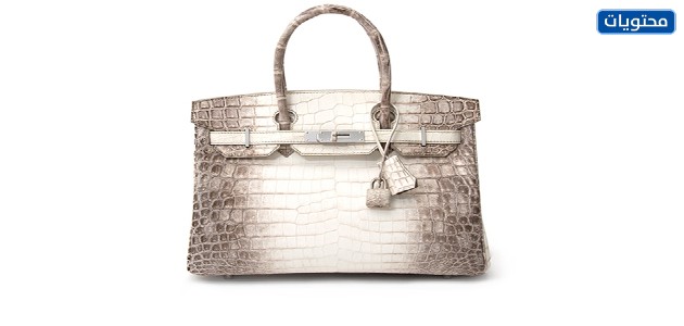 حقيبة The Matte Himalaya Niloticus Crocodle Birkin 35 كيس