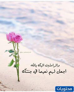 رمضان يقترب ولدينا أحباء في القبور