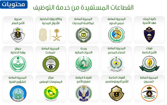 المستفيدون من منصة أبشر للتوظيف