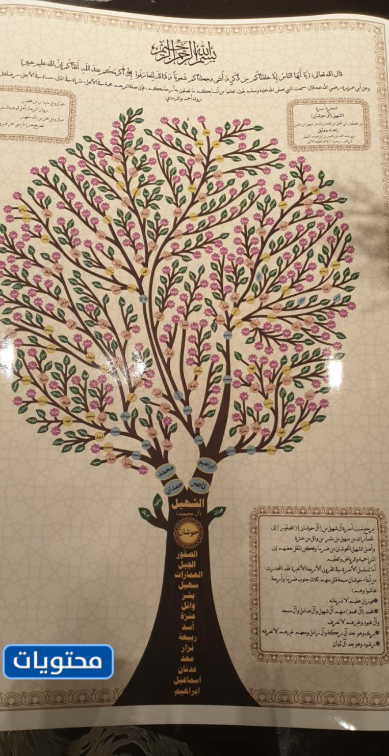 شجرة عائلة الشهيل