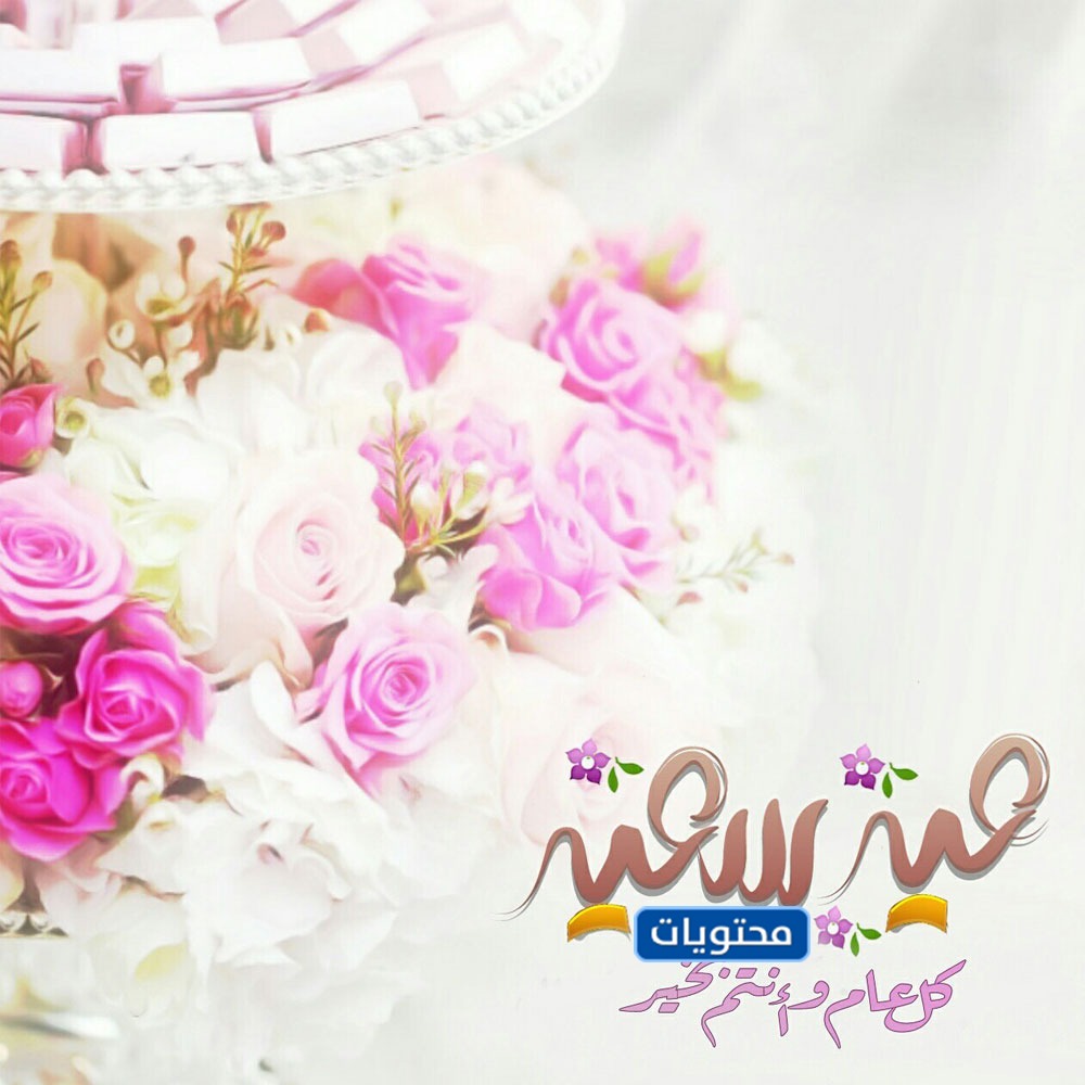 أجمل صور عيد الفطر 2021