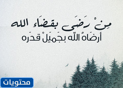 عبارات عن الصبر