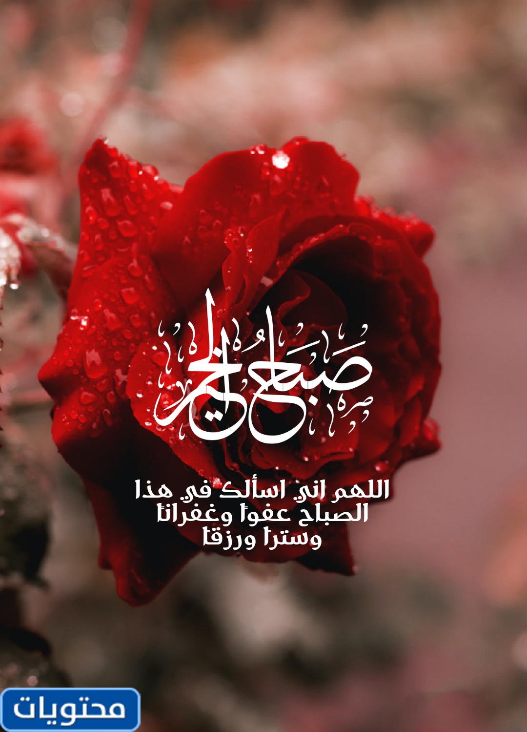 تحدث عن صباح الخير