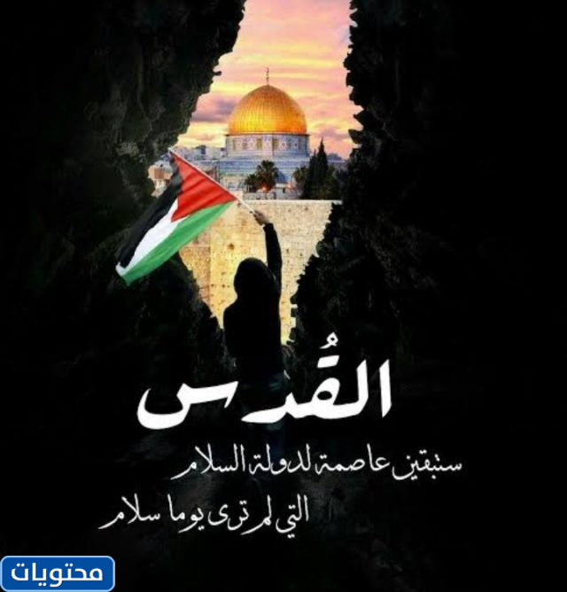كلمات عن عيون القدس تبكي