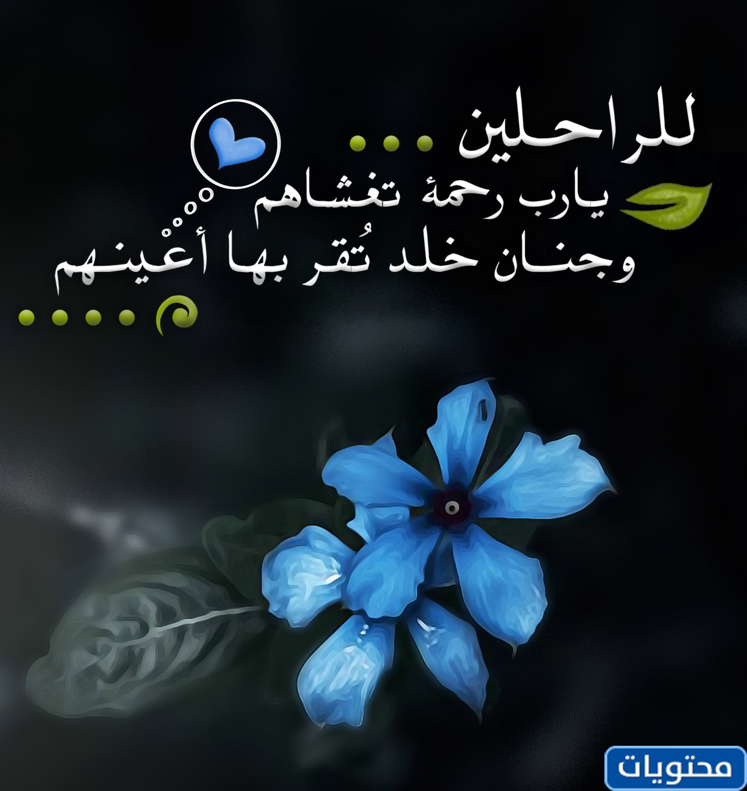 رمضان يقترب ولدينا أحباء في القبور
