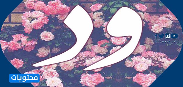 دكتور.