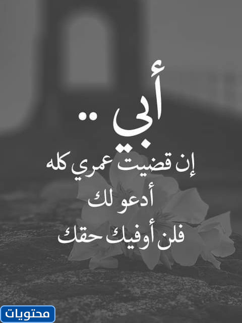 اقتباسات لطيفة عن أبي