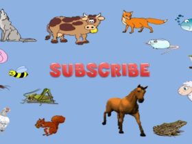 أين تعيش الحيوانات؟