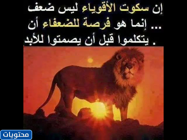 حالات واتس اب حكم وامثال