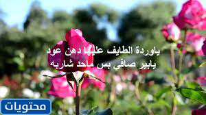 صور زهرة 2021