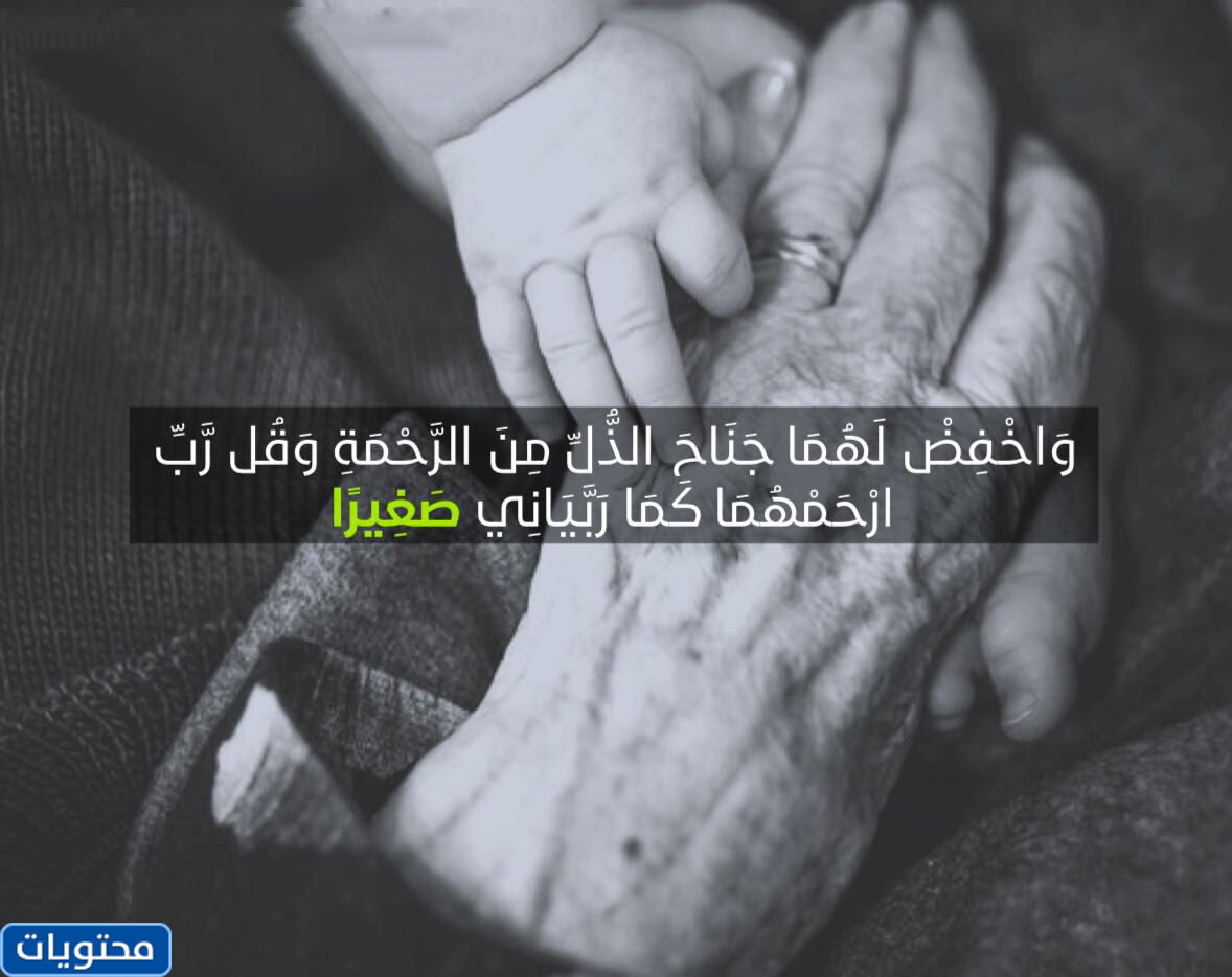 الكلمات المتعلقة بإسكان المسنين