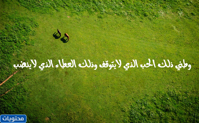 ونقلت الوطنية