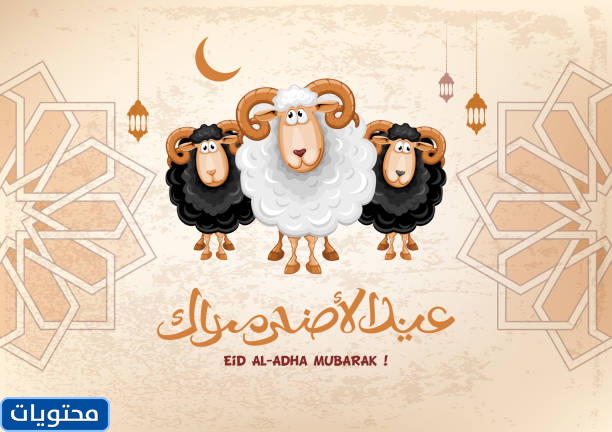 عيد الأضحى المبارك كل عام وأنتم بخير
