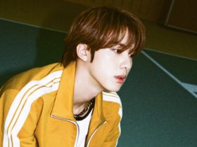 أصدر BTS Jin قائمة التشغيل الموسيقية لمربي الحمام