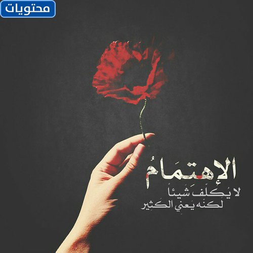 حالة واتس اب عن اللامبالاة 