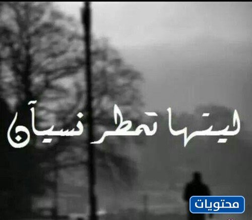 حزين في الشتاء