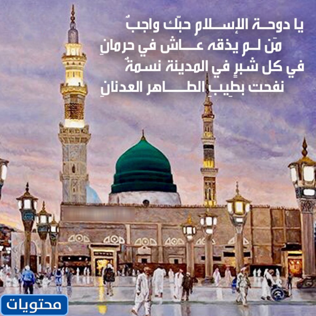 خلفيات المدينة المنورة