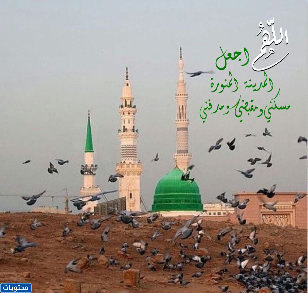 خلفيات المدينة المنورة