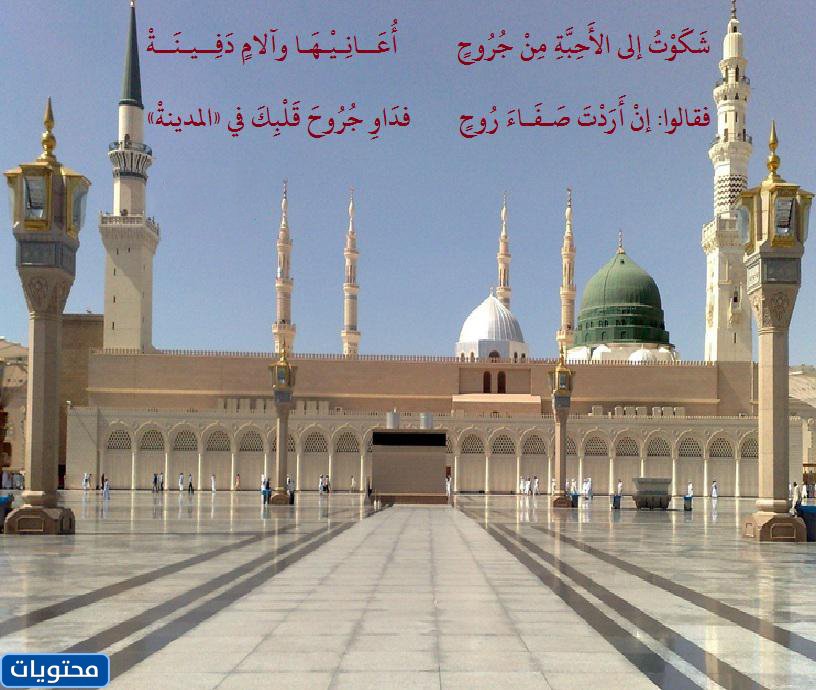 قصص عن حب المدينة المنورة بالصور