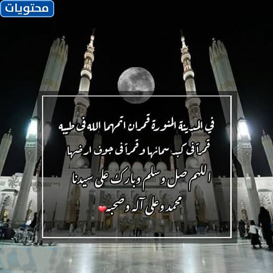 صور حب للمدينة المنورة