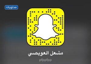 سناب مشعل العويسي