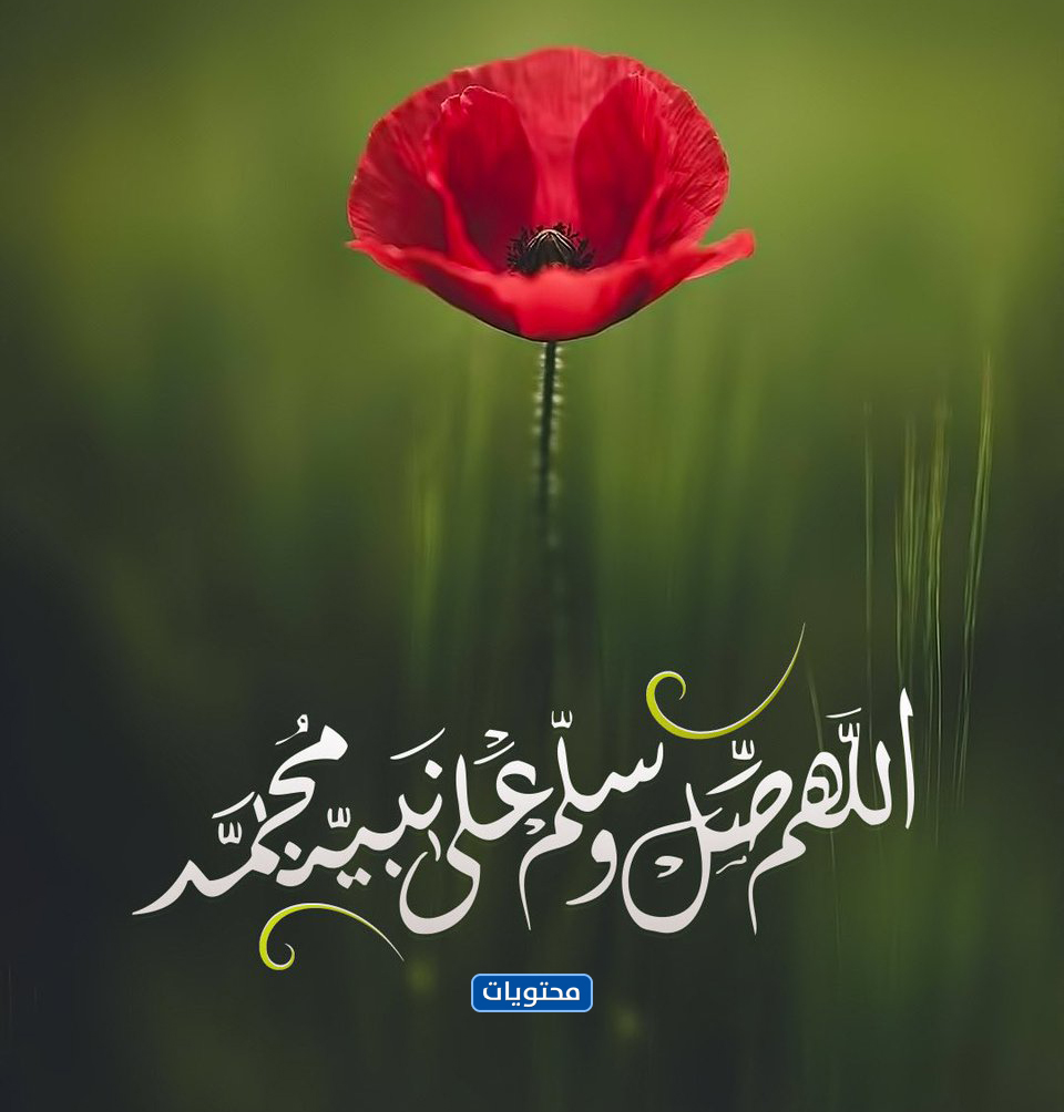 تويتات صلى الله عليه وسلم على نبينا محمد التغريد