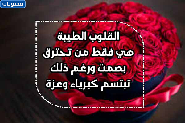 صور قلوب جميلة