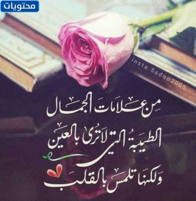 صور قلوب جميلة