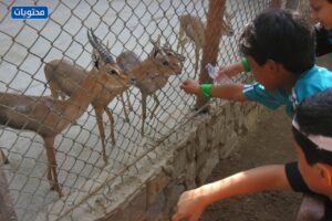 صور حديقة حيوانات الرياض