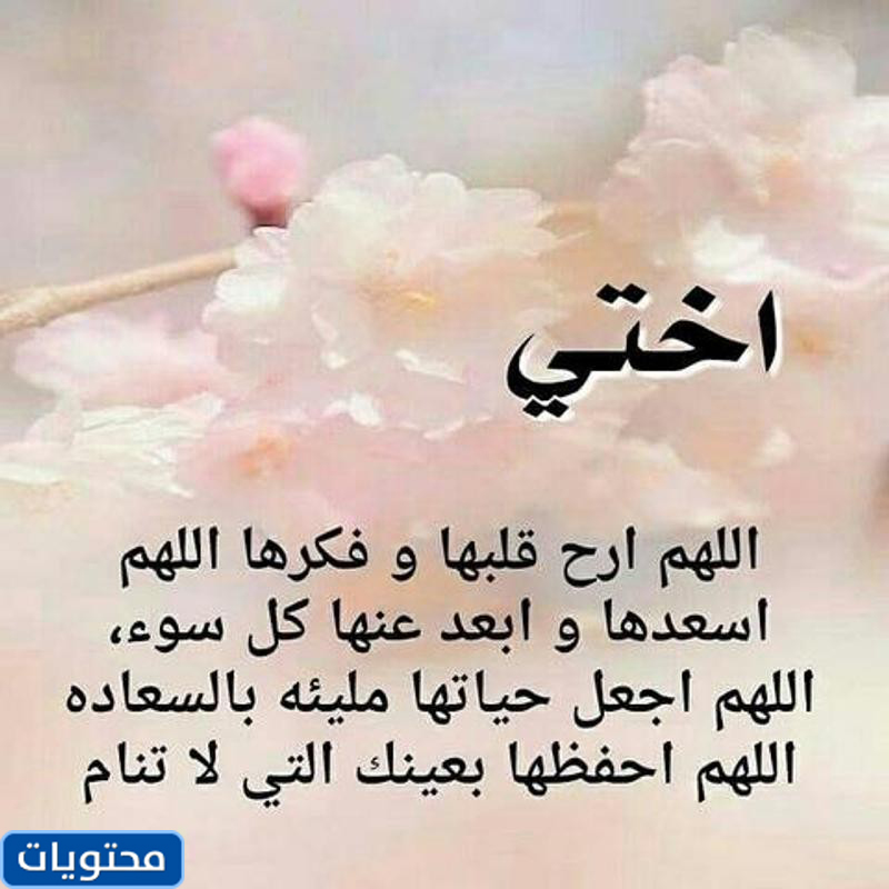 صور تتحدث عن الأشقاء