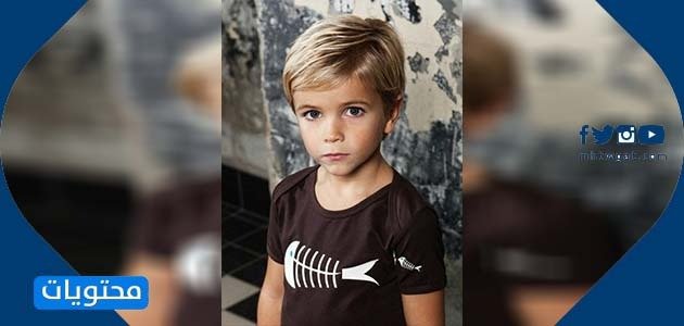 قصة شعر كلاسيكية للأطفال